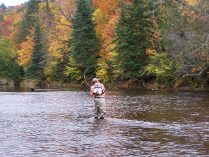 Few places in todays world offer anglers the solitude you can find on the Garden River