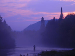 A angler at dusk in the camp rapids